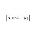 Mr Black 3.jpg